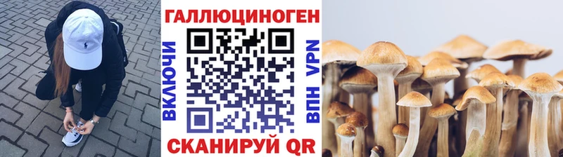 KRAKEN   Одинцово  мориарти клад  Псилоцибиновые грибы Magic Shrooms 